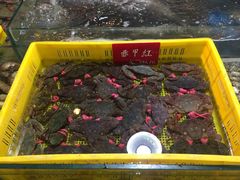 -旺角小渔村(幸福中路店)