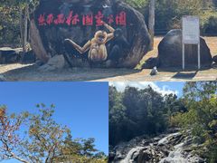 -霸王岭国家森林公园