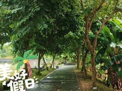 -广州市帽峰山景区