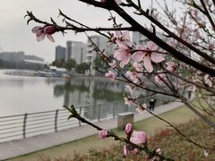 -美兰湖景区