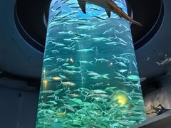 -香港海洋公园