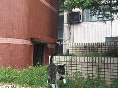 -复旦大学光华楼