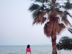-滇池海埂公园
