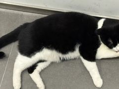 -原田新料理(1912店)