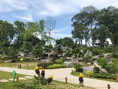 -东莞植物园