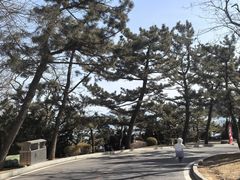 -棒棰岛宾馆景区