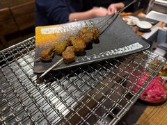 -柿子树炭烤羊腿(金台路店)