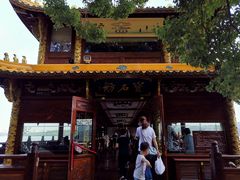 -西湖外事游船(花港观鱼码头)