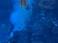 -鸿通城购物中心