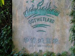 -华侨城湿地公园