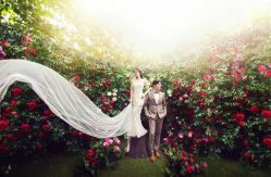 -韩国艺匠ARTIZ STUDIO(博览中心店)