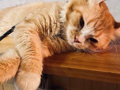 -251#coffee roasters(沿河东路店)