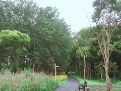 -柳鹭田园区