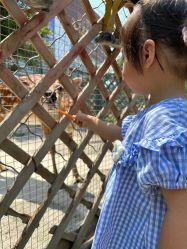 -萌宠亲子动物乐园(槐房万达店)