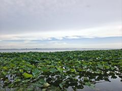 -阳澄湖费尔蒙酒店