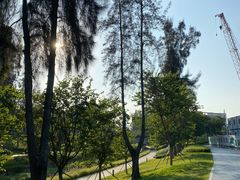 -深圳大学总医院