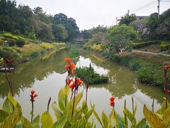 -大旗头古村