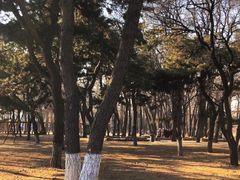 -二一九公园