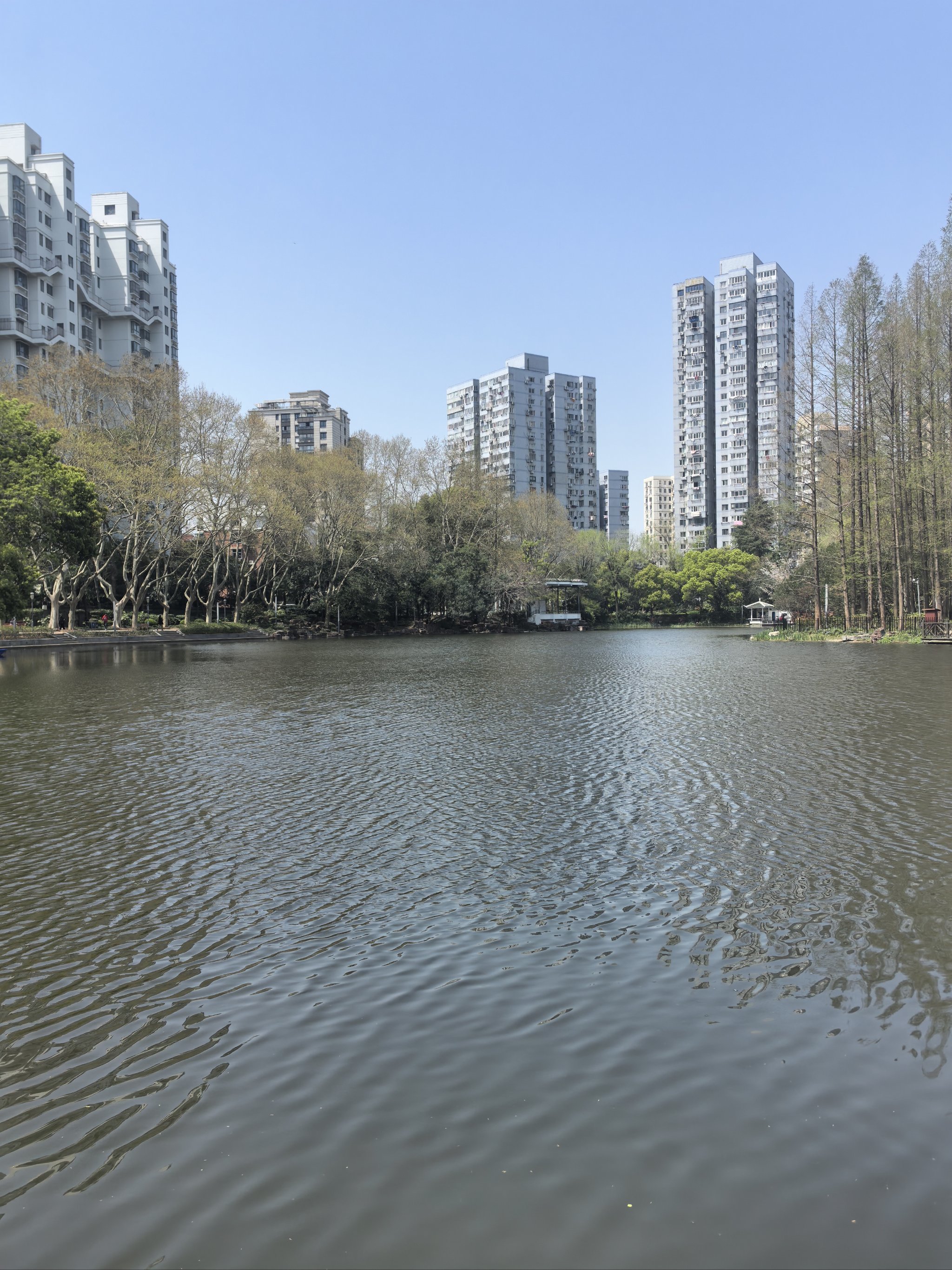 天山公园春日游记