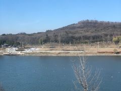 -羊山湖公园