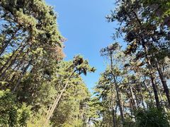 -萨尔浒风景区