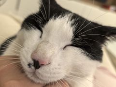 -派特宠物医院(圆融广场店)