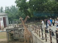 -西安秦岭野生动物园