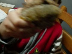 android_upload_pic-香满居张记小厨私房菜(青岛站店)