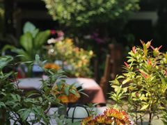 -Dash Teak House