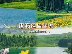 -赛里木湖风景名胜区