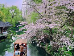 -湖畔居茶楼(湖滨店)