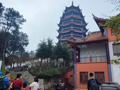 -铁山坪森林公园