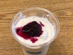 冷萃酸奶-Blueglass酸奶(财富购物中心店)