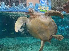 -广州海洋馆