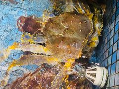 -马王堆海鲜水产市场