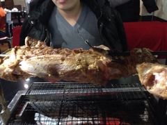 -柿子树炭烤羊腿(金台路店)