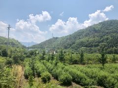 -雅鲁激流探险漂流