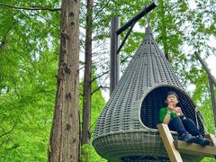 -黄海国家森林公园