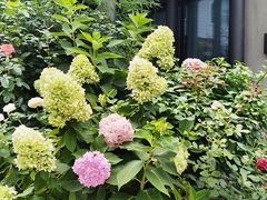 -蘇锦宴·淮扬菜烤鸭·小院(三元桥霄云路店)