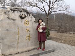 -白水寺森林公园