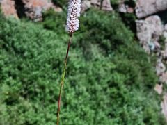 -芦芽山旅游度假区