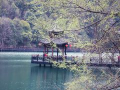 -江西阳明山国家森林公园