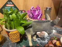 -慢丽江·云南野生菌土鸡锅(西山店)