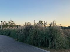 -苏州湾体育公园