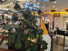 -野人先生Gelato(上海长宁龙之梦店)