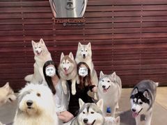 -TrueLove @ Neverland (Husky Cafe)