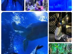 -太平洋海底世界