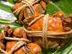 -太湖饭店玉兰厅(自助餐厅)