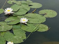 -永定河休闲森林公园