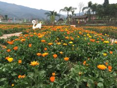 乐天花谷-乐天花谷